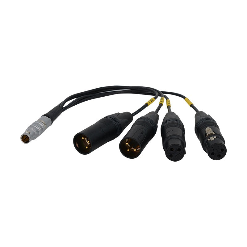 Balance Audio Input/Output Adaptor Cable