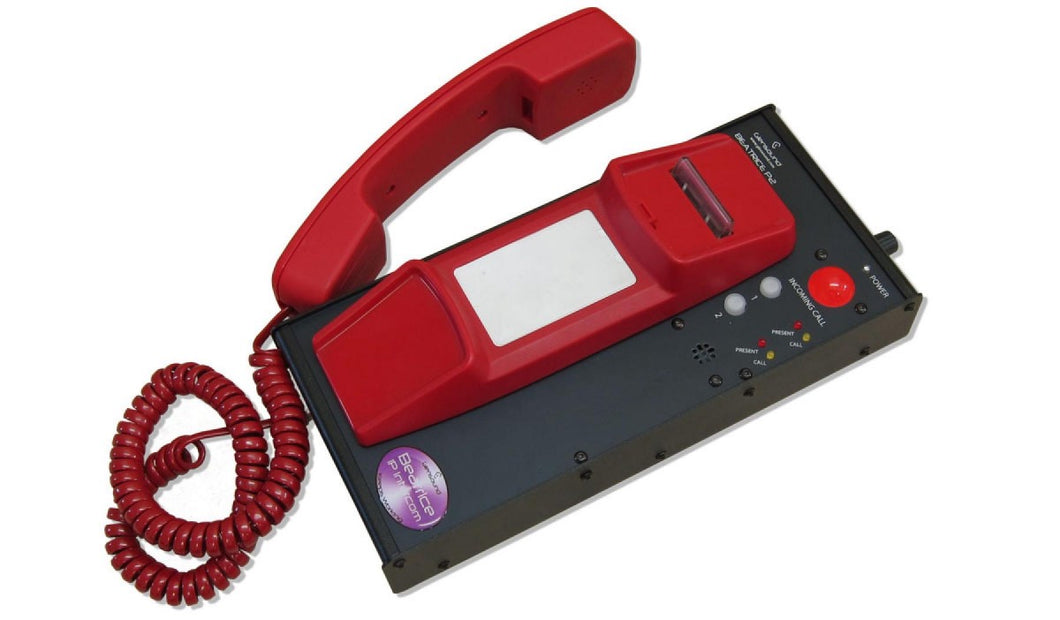 Beatrice P2 - 2 Channel Telephone Handset Interface